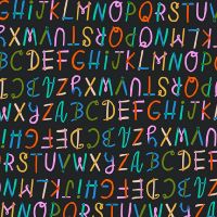 dsStella-DFG3628 Raven